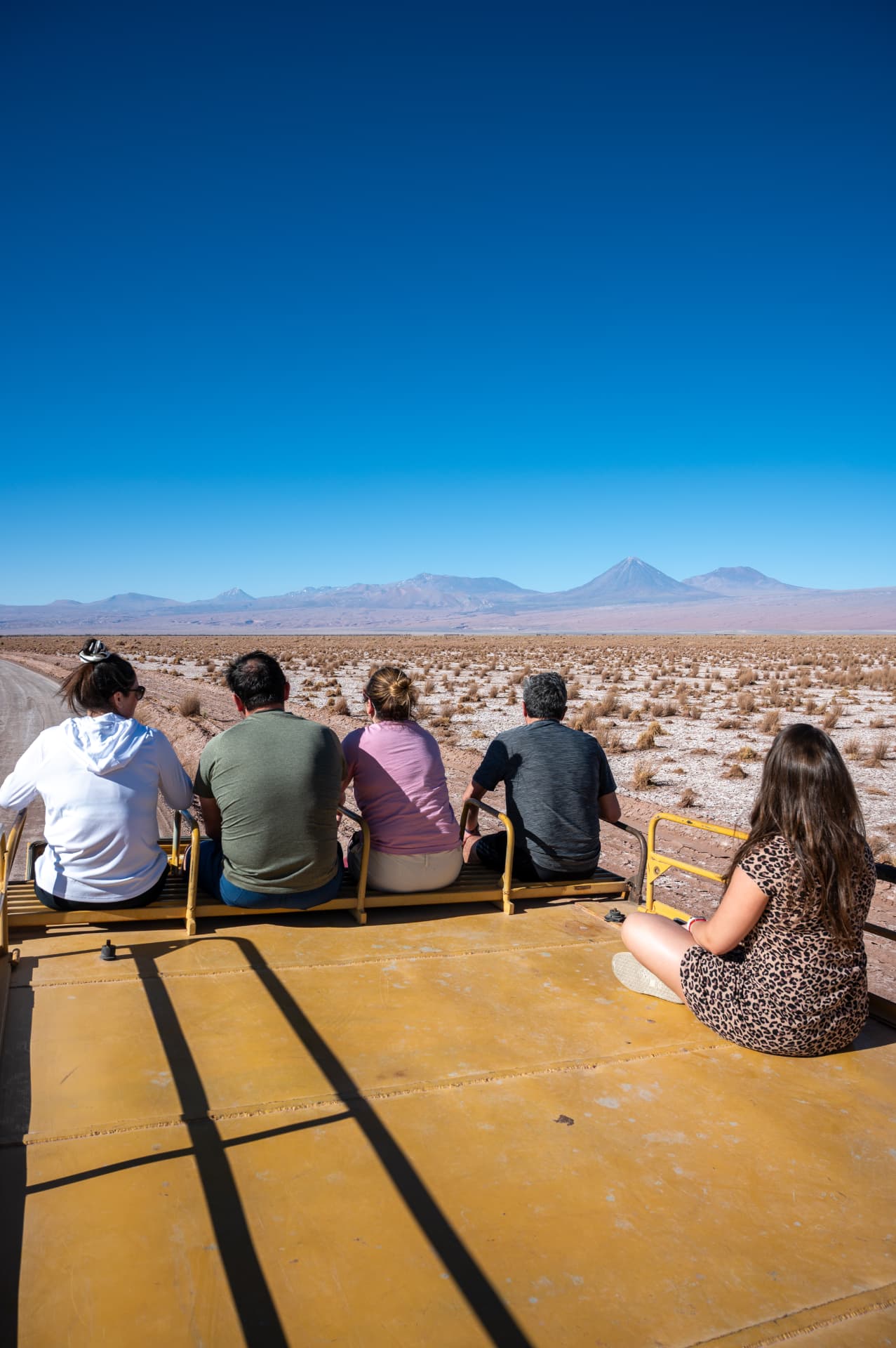Grupo em passeio panorâmico observando os vulcões